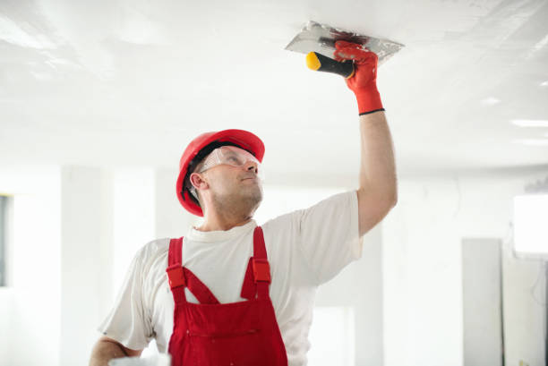 Best Ceiling Drywall Installation  in Guyton, GA